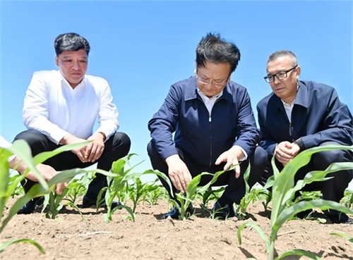 PG电子(中国)官方网站