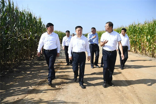PG电子(中国)官方网站